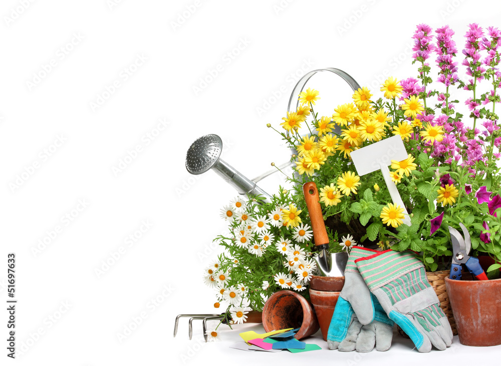 Gardening tools and flowers