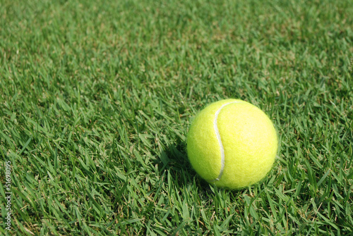 Tennisball in the Green grass © thaiview