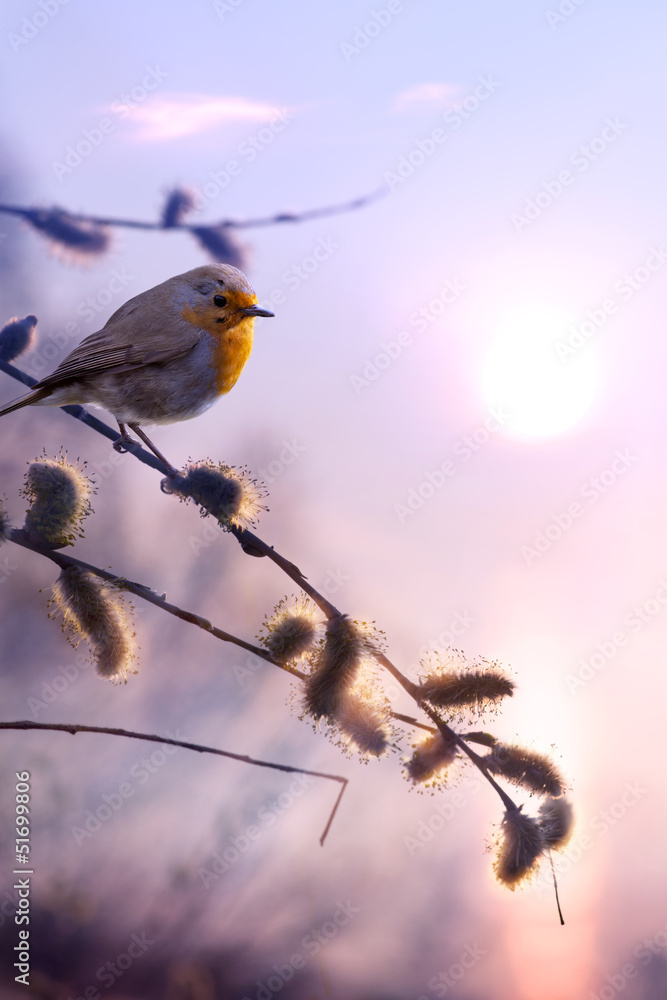 Obraz premium art beautiful spring morning nature background