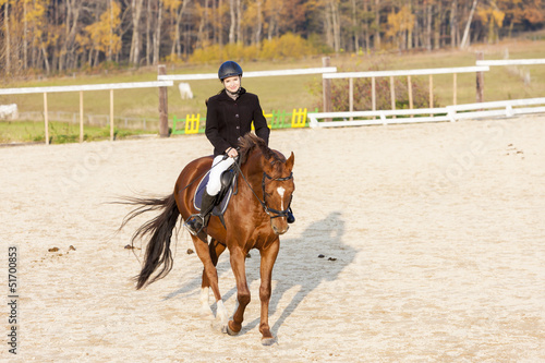 equestrian on horseback