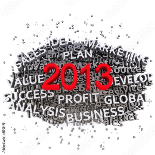 2013 Business plan