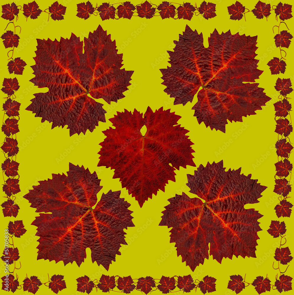 Fototapeta premium Weinlaubserviettegruen8