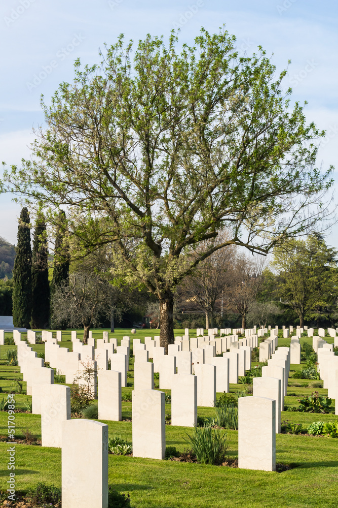 Cemetery of war