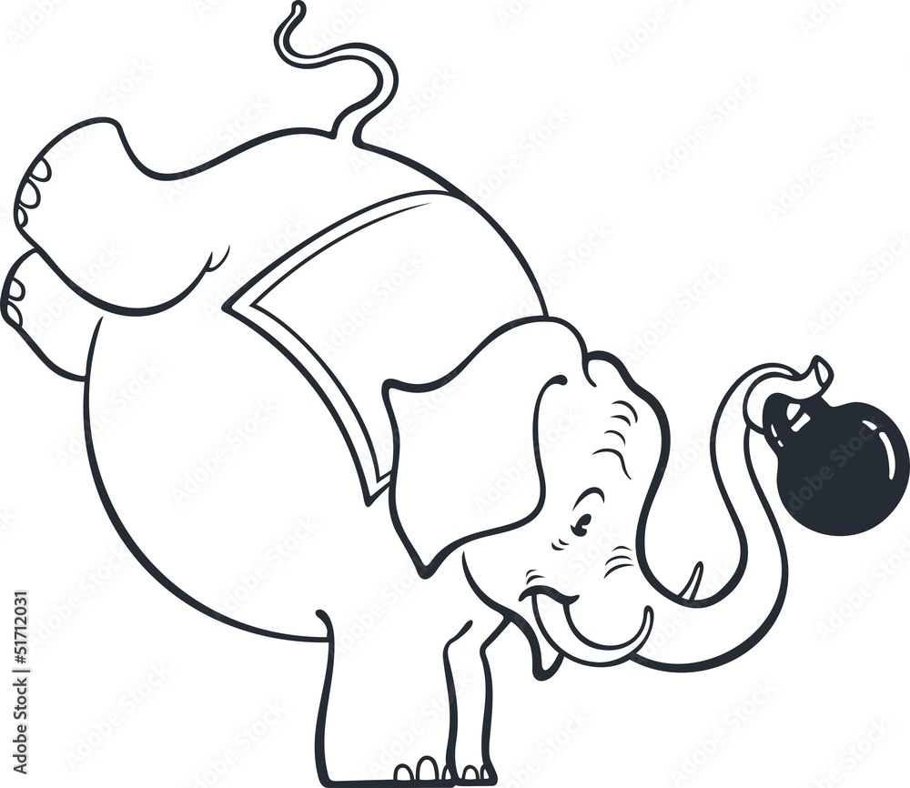 Circus elephant Circus elephant