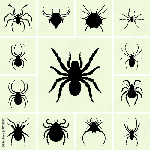 Set of spider silhouettes © dnbr