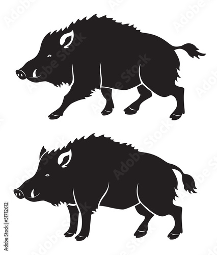 Print op canvas wild boar