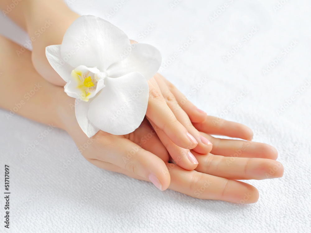 Beautiful woman hands with white orchid flower