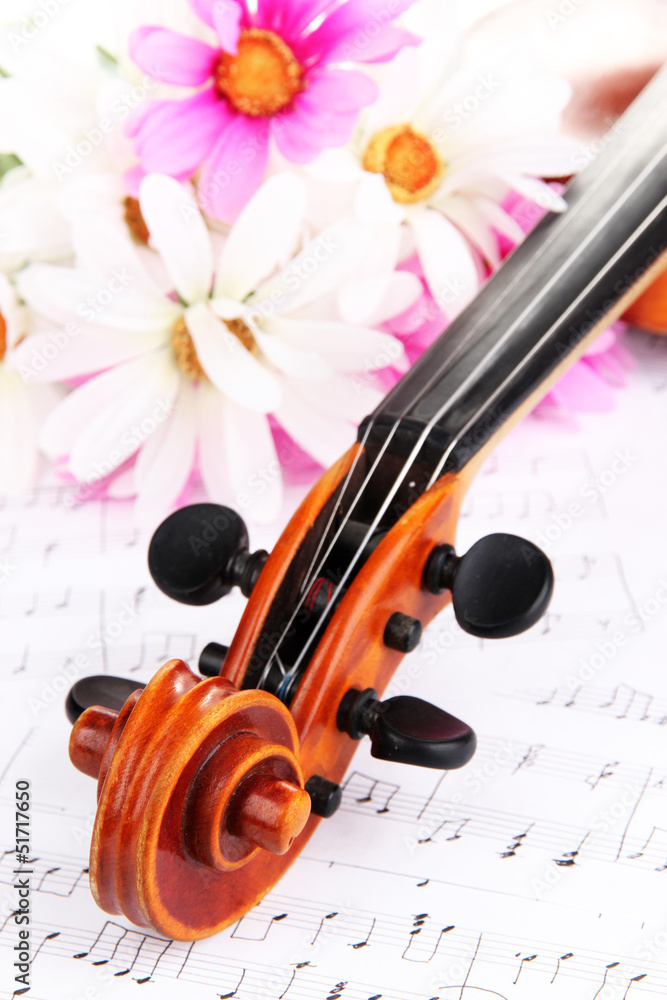 Naklejka premium Classical violin with flowers on notes