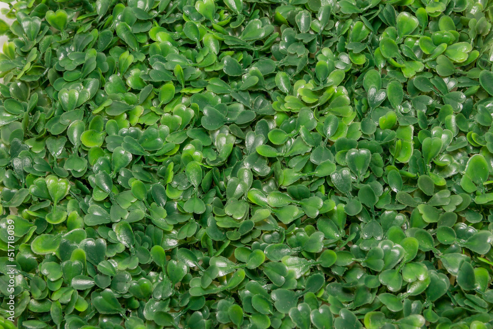 Plastic green grass Plastic green grass