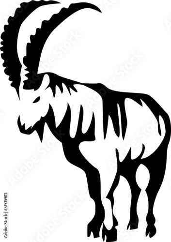 ibex