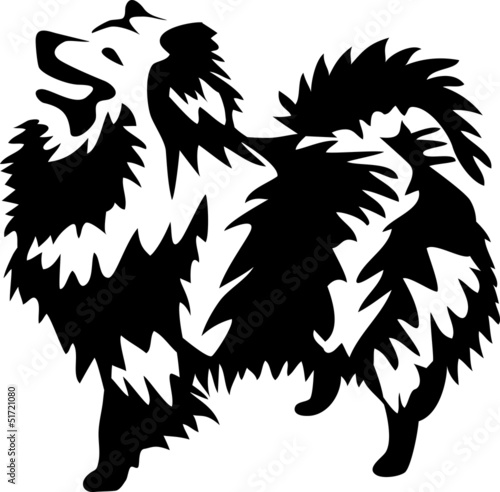 dog - german spitz