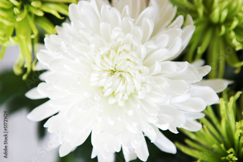 Fototapeta Naklejka Na Ścianę i Meble -  flowers