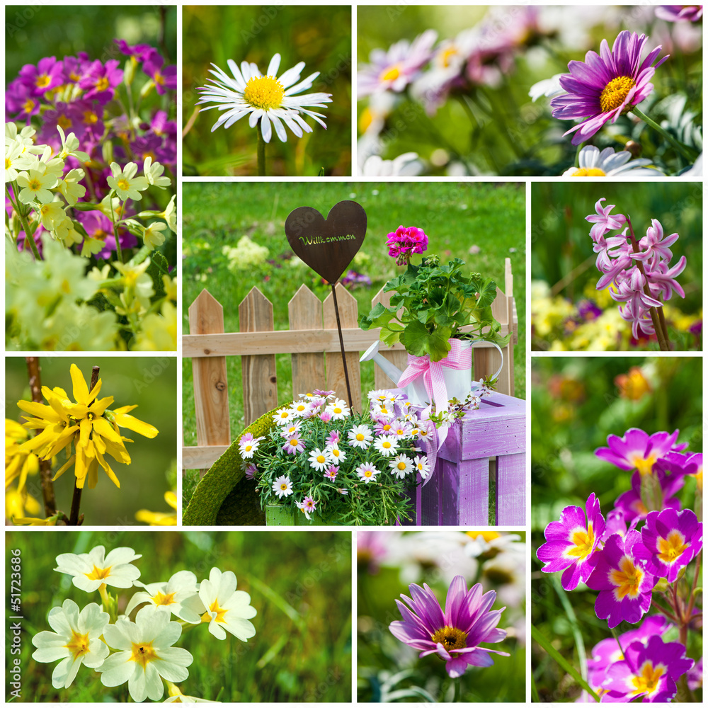 Spring garden collage - Frühlingsgarten Collage Stock-Foto | Adobe Stock