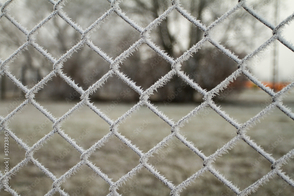 wire fence with hoarfrost wire fence with hoarfrost