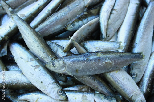 Sardine