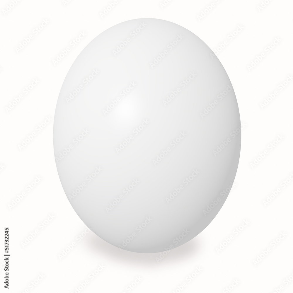white large chicken egg