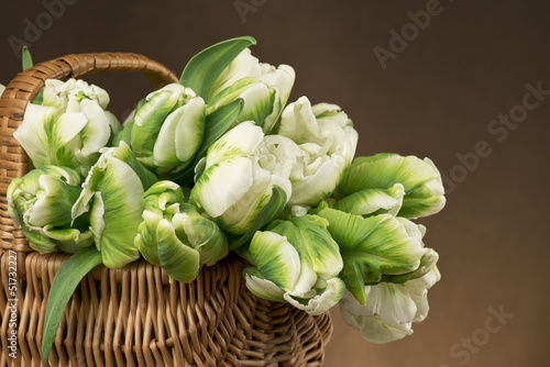 Fototapeta Naklejka Na Ścianę i Meble -  Bukiet tulipanów