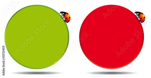 Box rotondo con coccinella che cammina