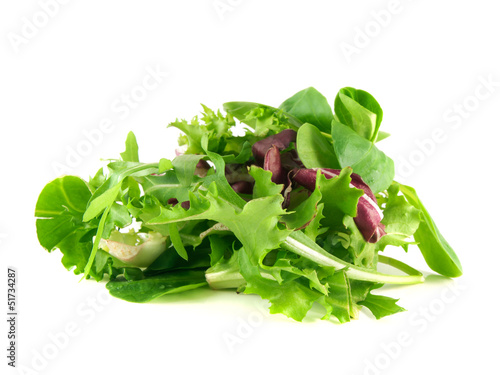 Salad rucola, frisee, radicchio, lamb's lettuce