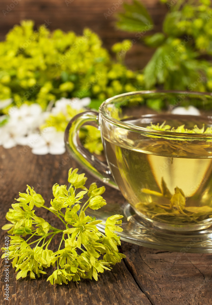 glass cup is of green tea with herbs glass cup is of green tea with herbs
