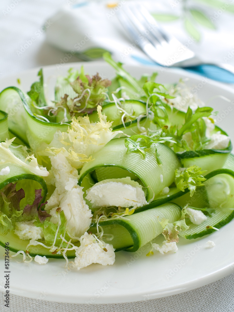 Fresh salad of cucumber, lettuce and goat cheese, selective focu Fresh salad of cucumber, lettuce and goat cheese, selective focu