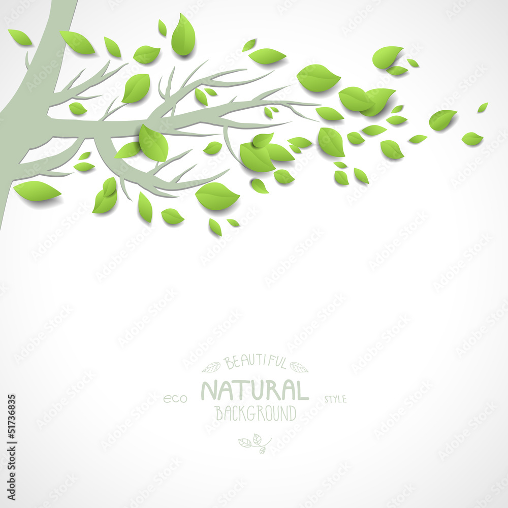 Background with branch and green leaves Background with branch and green leaves