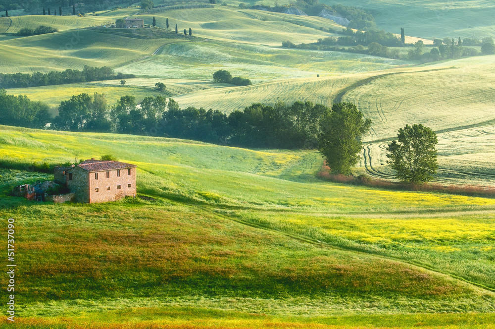 Obraz premium Tuscany - Italy