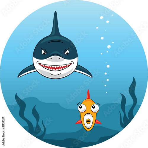 Shark hunting for small fish