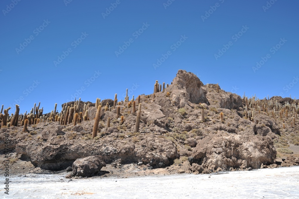 Fototapeta premium Island Incahuasi Salar de Uyuni, Bolivia
