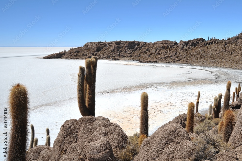 Island Incahuasi Salar de Uyuni, Bolivia Island Incahuasi Salar de Uyuni, Bolivia