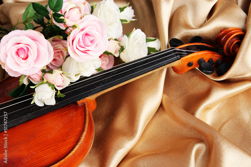 Fototapeta premium Classical violin on fabric background