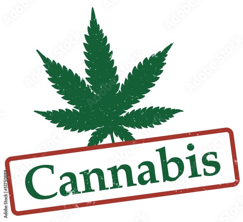 Cannabis