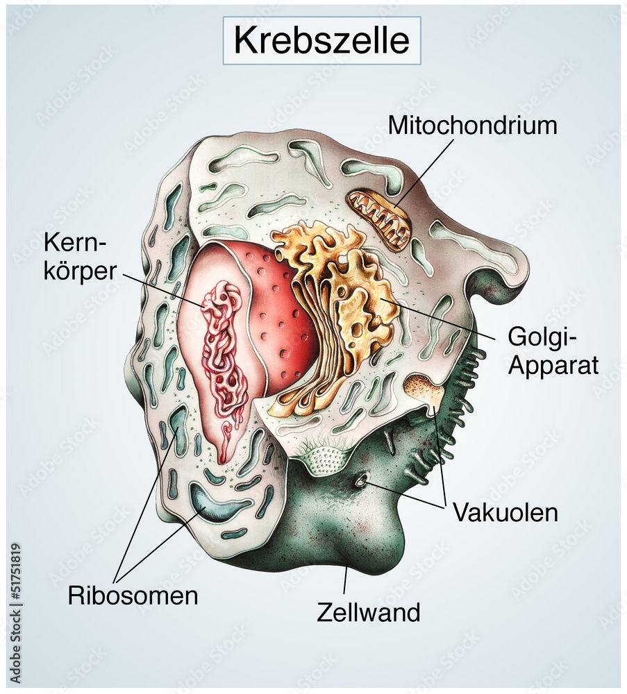 Scientific important Cut Out Stock Images \u0026 Pictures - Alamy, image size:903x1000