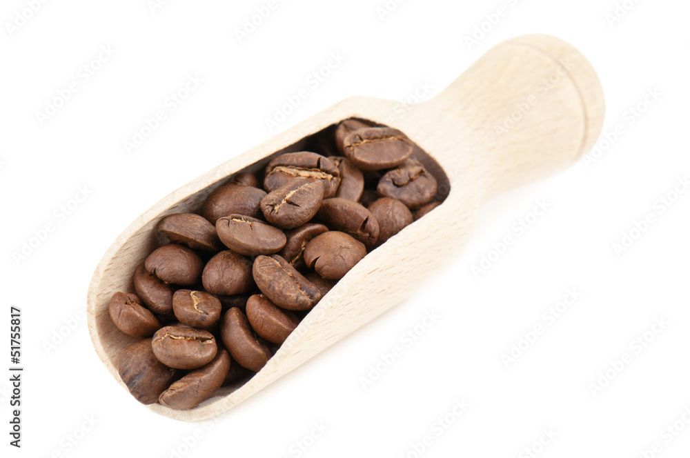 Obraz premium coffee beans in spoon