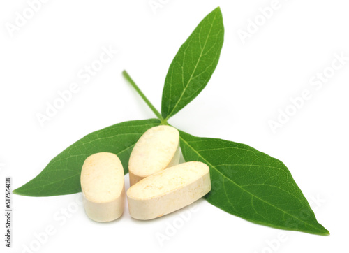Tablets with Vitex Negundo or Medicinal Nishinda leaves