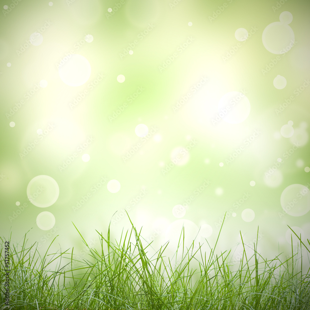Fototapeta premium Natural green background