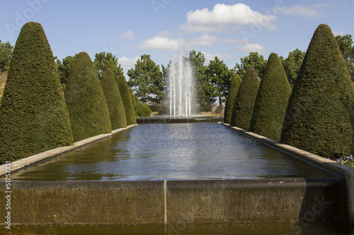 Fountain and clipped trees