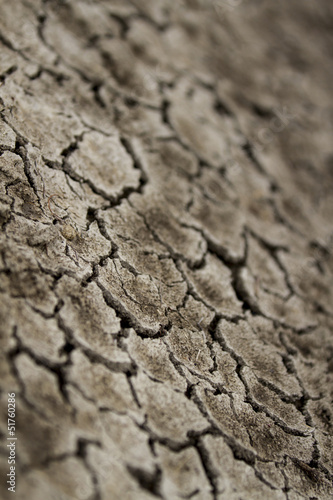 Textura de suelo seco, con grietas, arcilla.