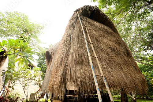 Thatch roof bungalow at tropical resort, Lembongan island, Indon photo