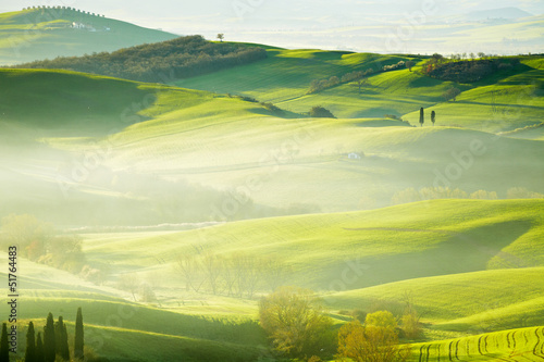 Countryside, San Quirico d´Orcia, Tuscany, Italy