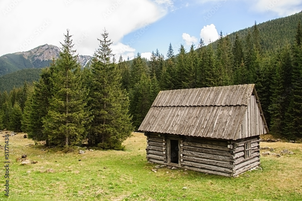 Dolina Chocholowska w Zakopanem