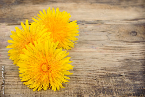 Dandelion flowers