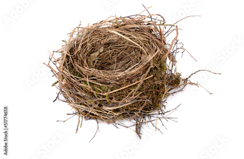 empty birds nest