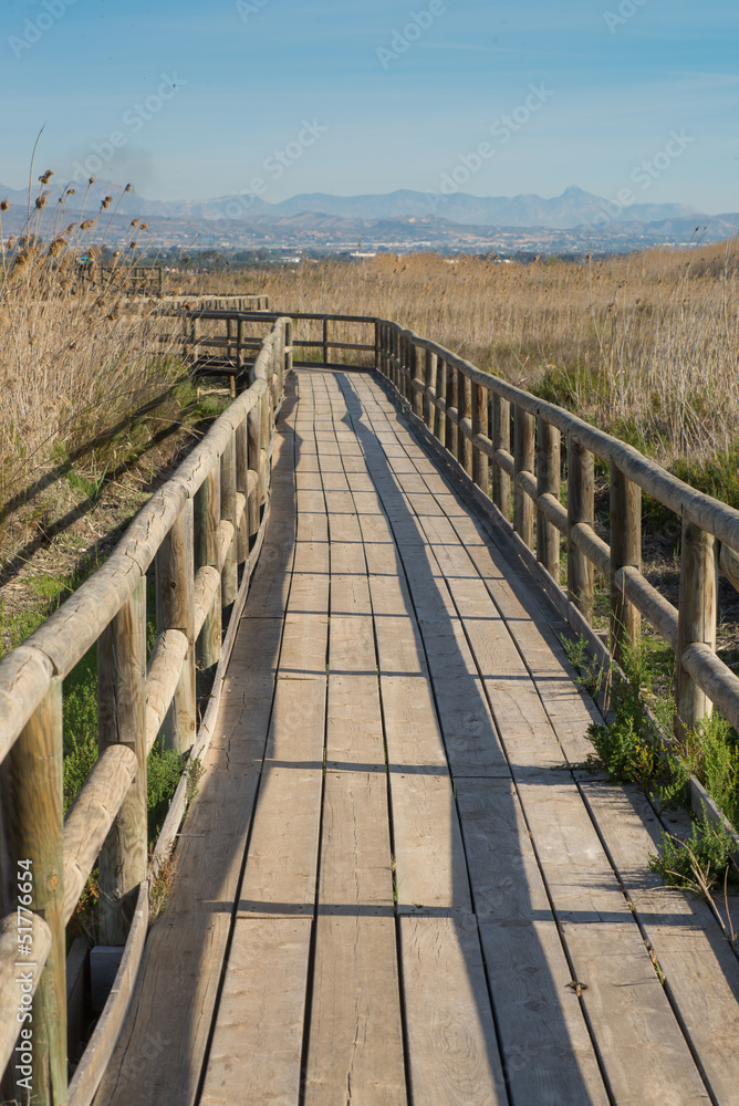 Natural park footbridge