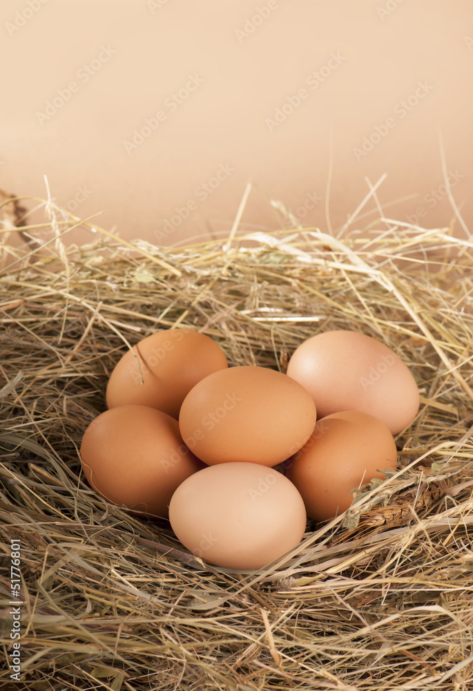 pile of brown eggs in a nest