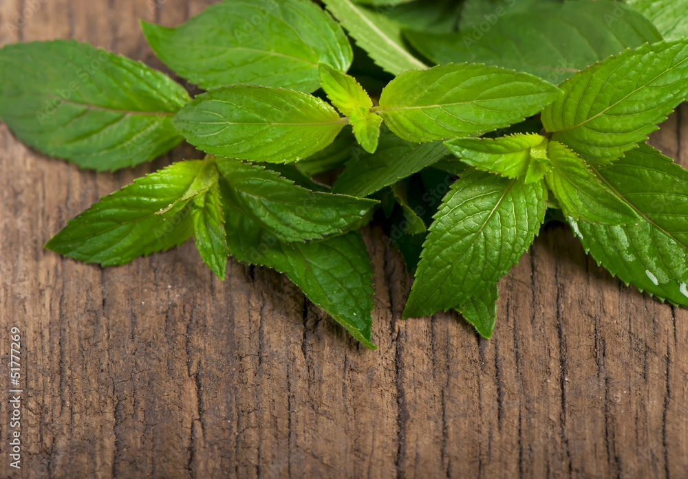 Fresh mint on the wooden texture Fresh mint on the wooden texture