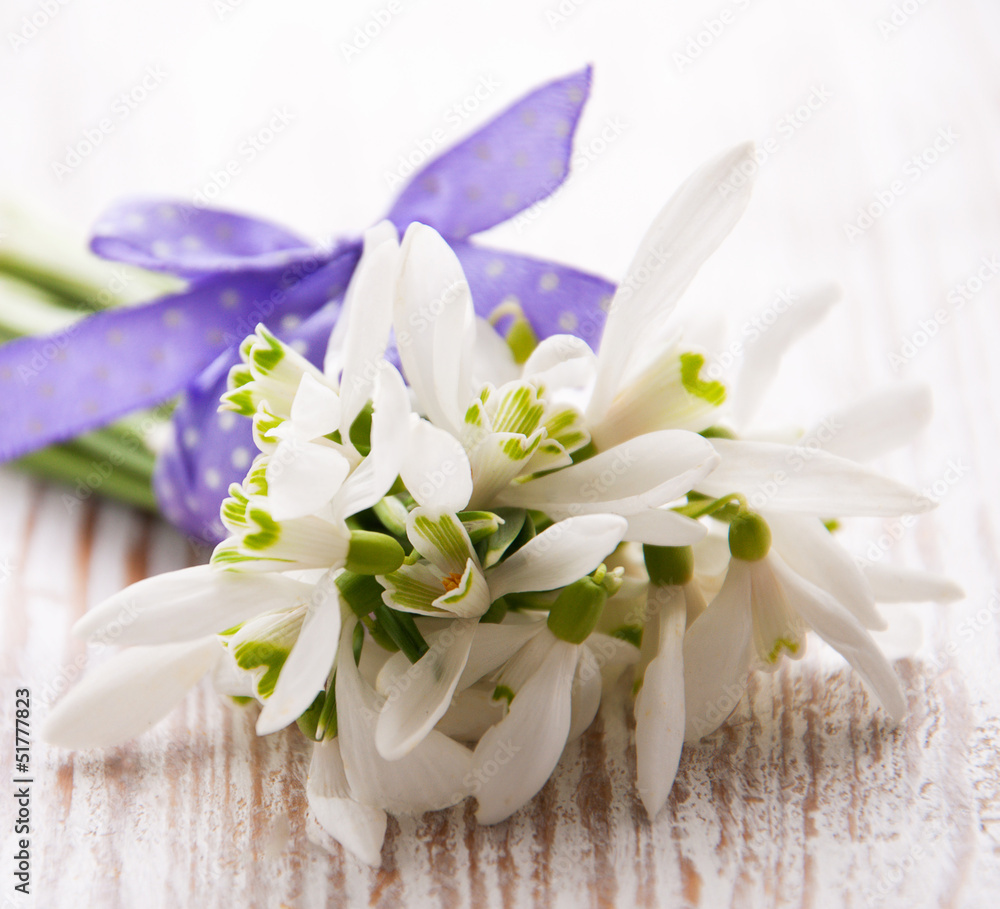 Bunch of snowdrop flowers Bunch of snowdrop flowers