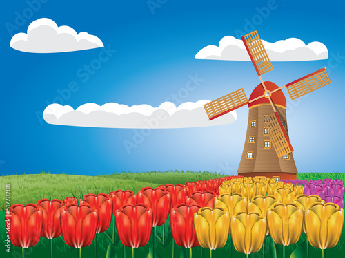 Windmill and tulips