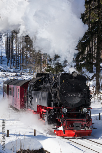 Harzer Schmalspurbahnen Selketalbahn im Winter