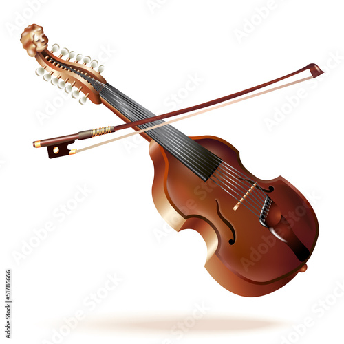 Classical viola d'amore, isolated on white background